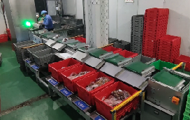 千赢国际助力兰州首个“中央厨房”分拣中心落成，赋能食品分拣新模式